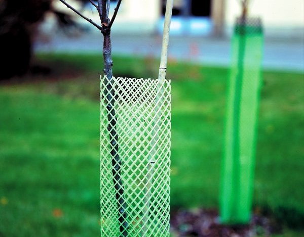 Plastová chránička proti okusu - 60x36 cm