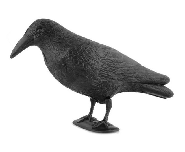 Maketa havrana -  odpuzovač ptáků