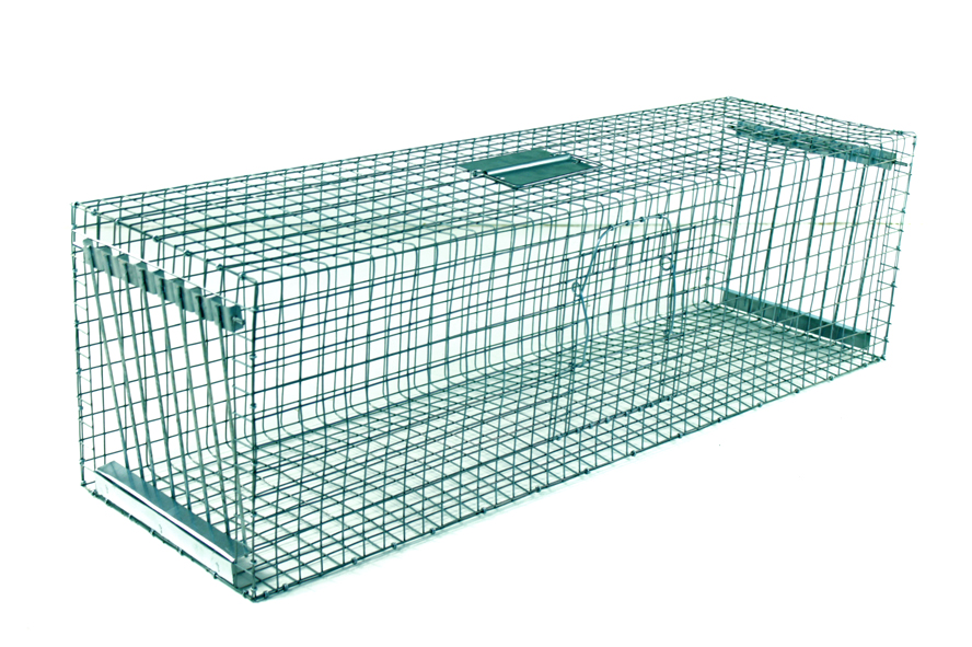 Odchytová past na ptáky - 100x30x30 cm 