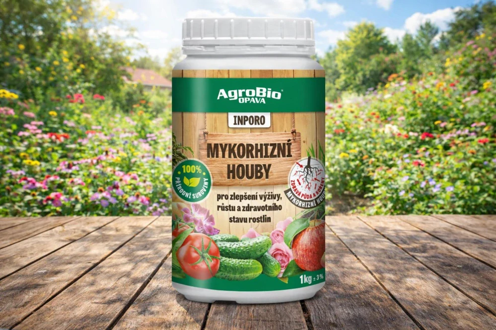 Mykorhizní houby - Mega balení 1 kg