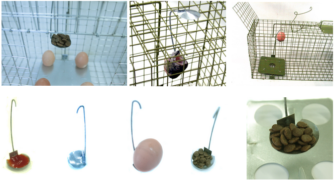 Sklopec 122x29x31 se dvěma vstupy - Na lišky, kuny, kočky, tchoře, lasice