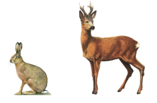 Pachový ohradník na zvěř s aplikačními válečky. 