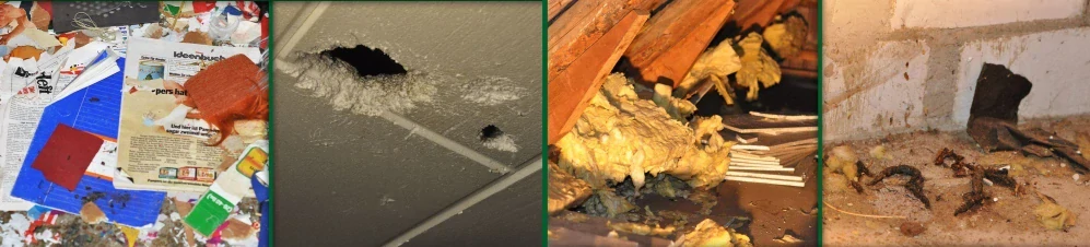 Ochranný štít proti kunám - ochrana okapů před kunami