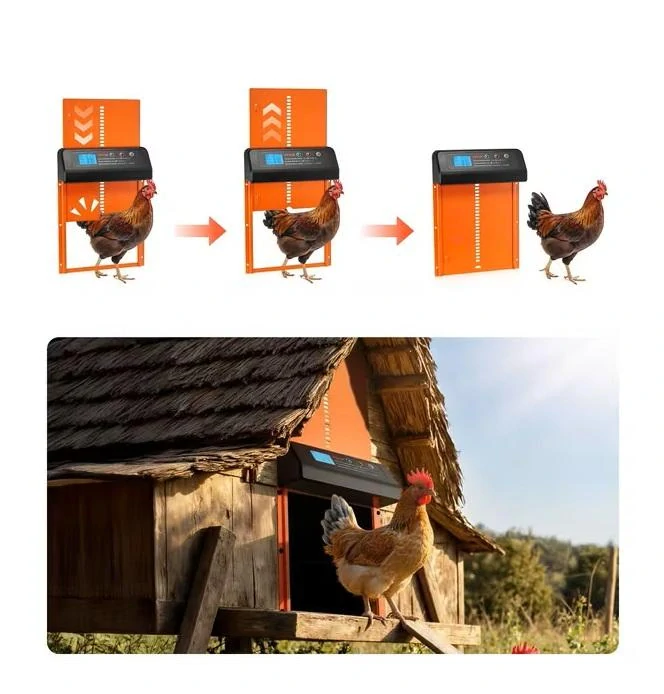 Automatická dvířka do kurníku s časovačem a ochranou proti přiskřípnutí – oranžová