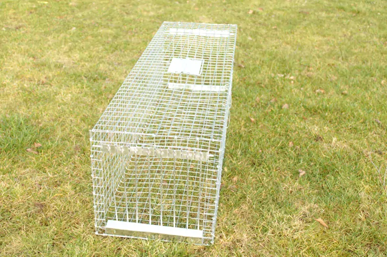 Odchytová past na ptáky - 100x30x30 cm 