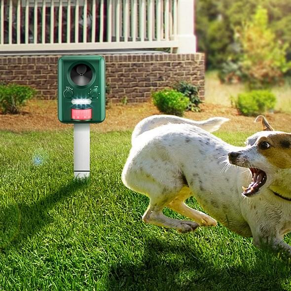 Venkovní ultrazvukový odpuzovač kun, psů, koček, netopýrů a ptáků.